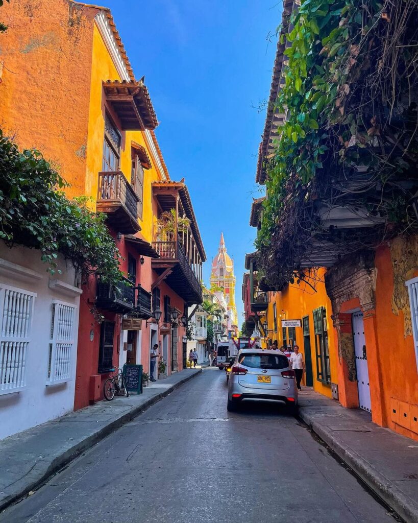 481674210 1079599240877525 5290367539787947844 n