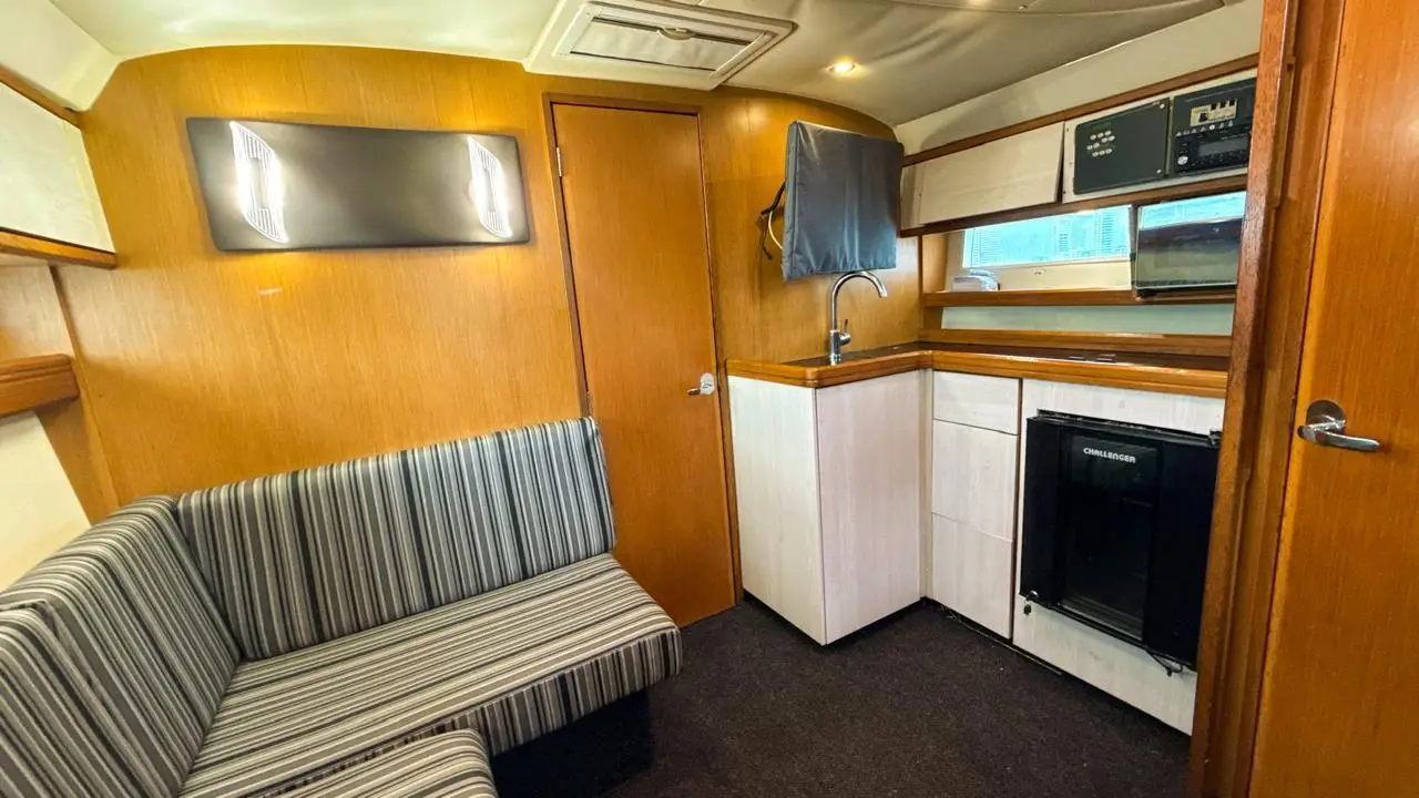 leon 29" (copia) leon 29" (copia)