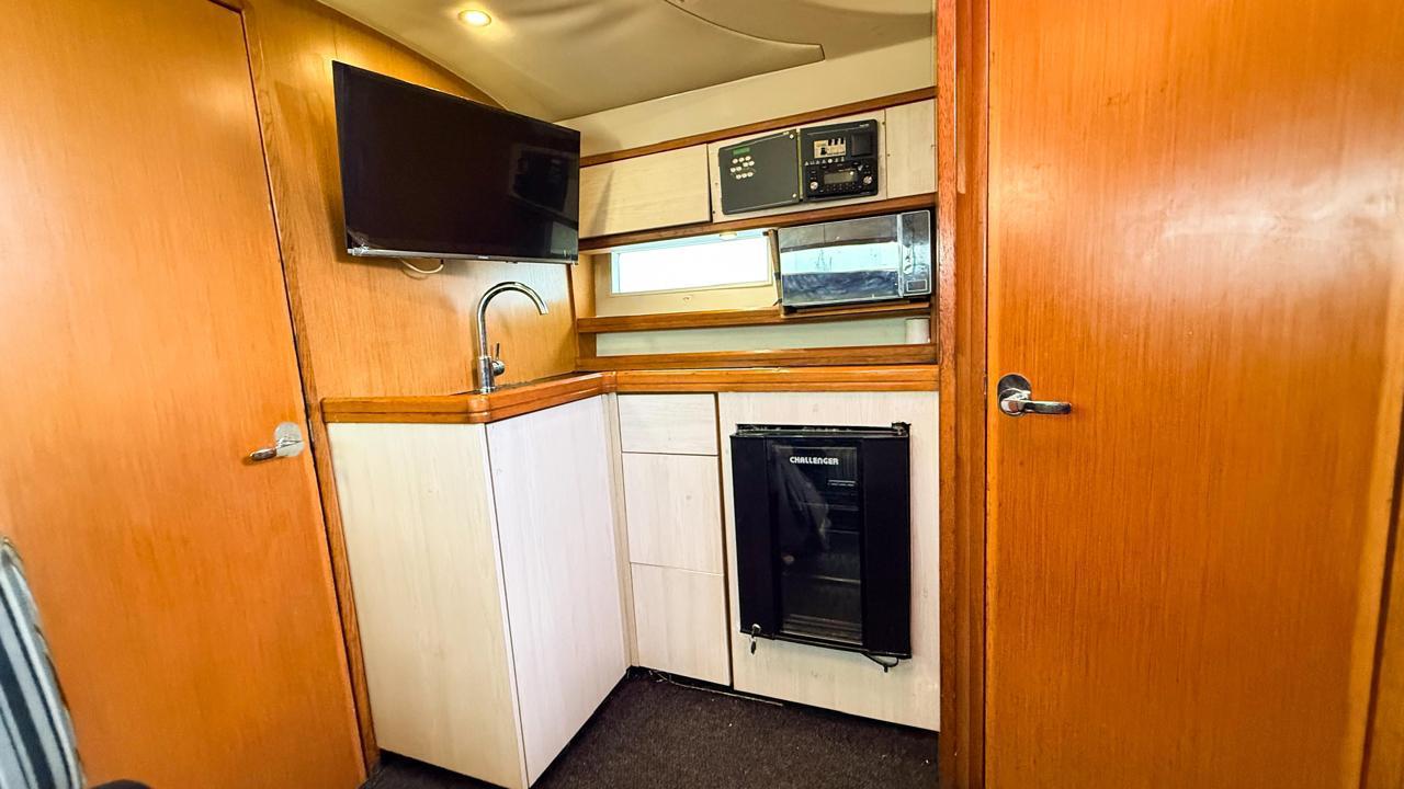 leon 29" (copia) leon 29" (copia)