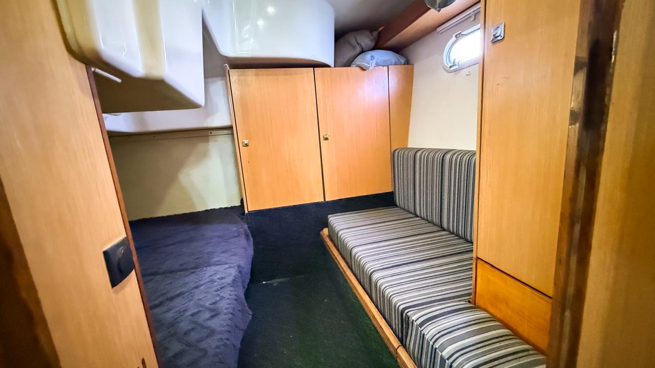 leon 29" (copia) leon 29" (copia)