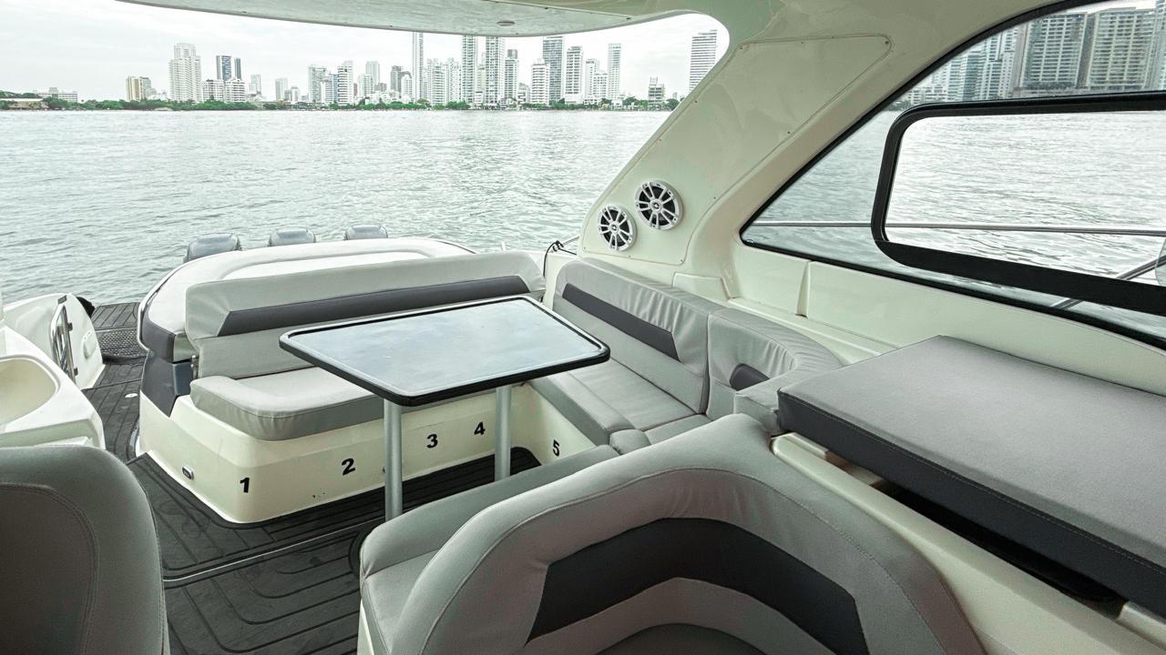 leon 29" (copia) leon 29" (copia)