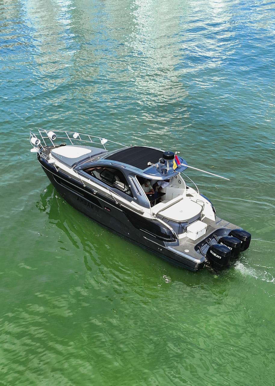 leon 29" (copia) leon 29" (copia)